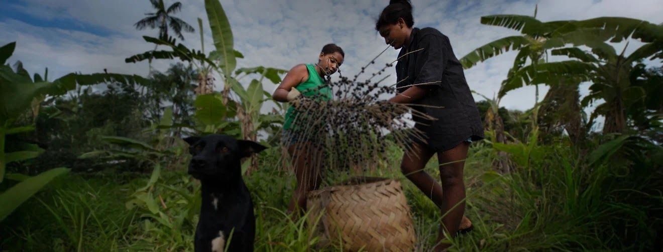Mapeamento de Territórios Quilombolas
