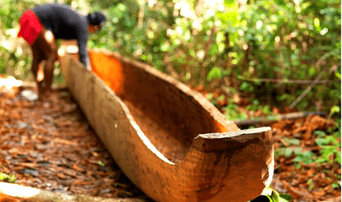 Canoa escavada: em comemoração ao dia da Amazônia, conheça a embarcação milenar dos povos indígenas