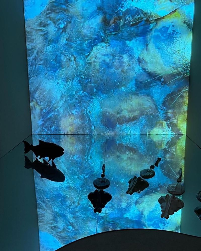 CRAB recebe a exposição “Casa do Brasil Central, do Cerrado ao Pantanal”