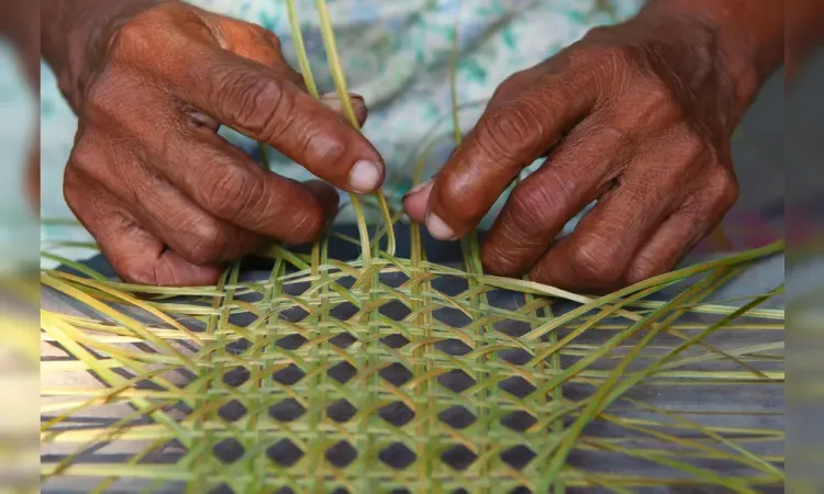 Artesãs brasileiras: Nova lei federal amplia direitos e reconhece a importância de ofícios tradicionais 