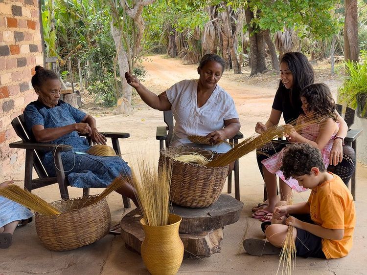 Tramas da Diversidade: o Brasil sob cinco perspectivas diferentes